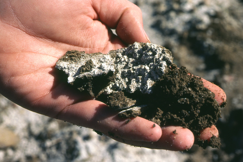 image of a hand holding salt encrusted soil